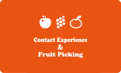 Contact Experience & Fruit Picking